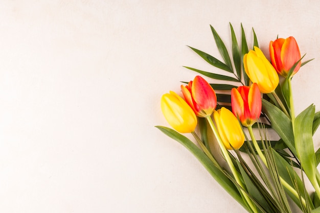 Tulips and leaves in bunch on beige background 