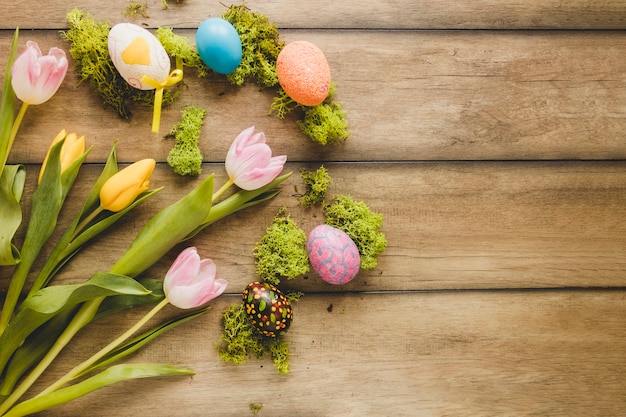 Tulips near eggs and moss