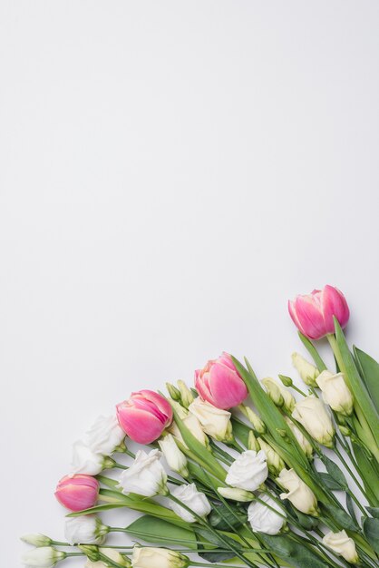 Tulips and roses on white