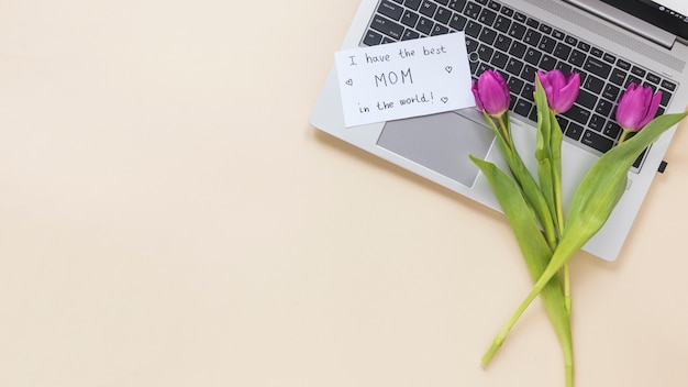 Free photo tulips with i have the best mom in the world inscription