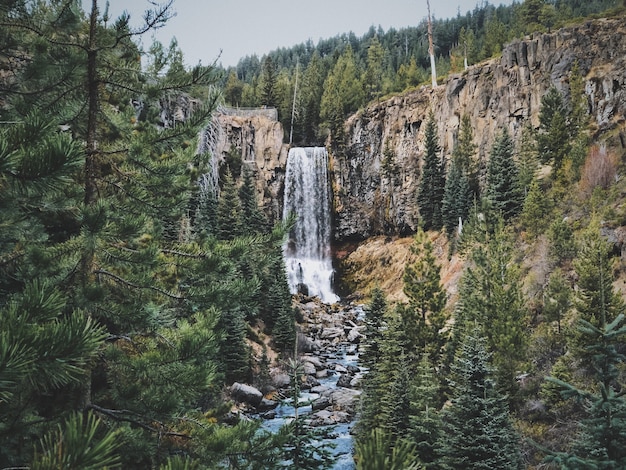 Free Photo tumalo falls waterfall in oregon, usa