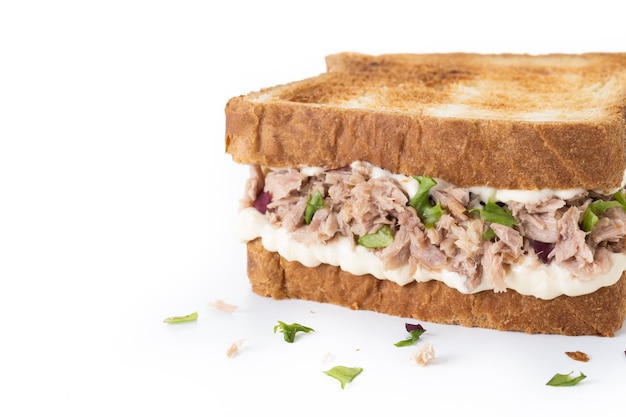 Free Photo tuna sandwich with mayo and vegetables isolated on white background