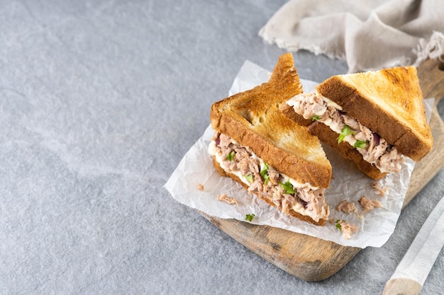 Tuna sandwich with vegetables on gray stone background