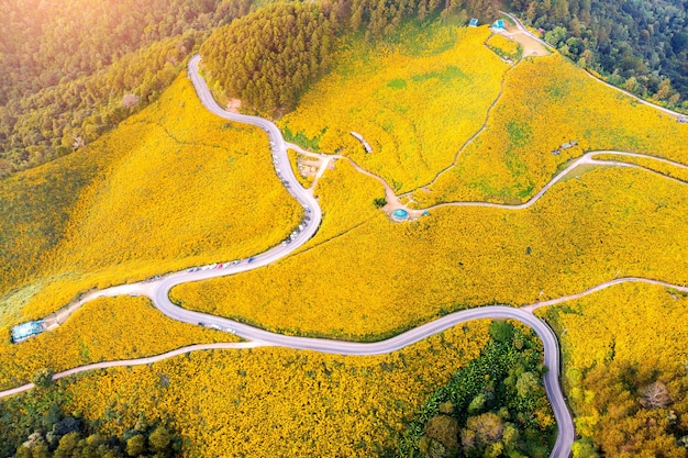 Tung Bua Tong Mexican sunflower field at Mae Hong Son Province in Thailand.