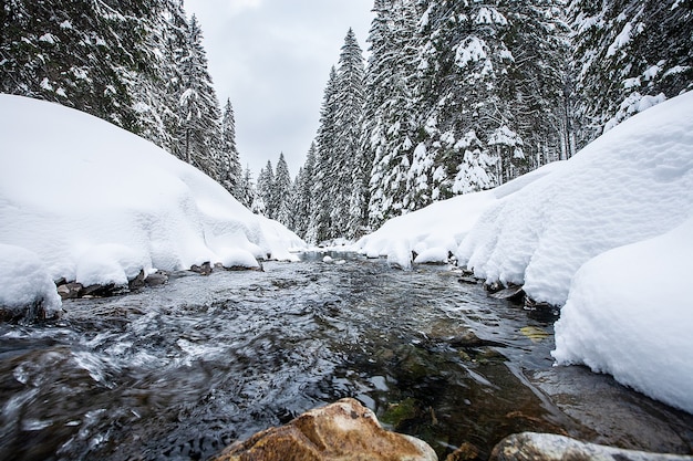 Free photo turbulent river rapids in pictoresque forest during winter. magical landscape