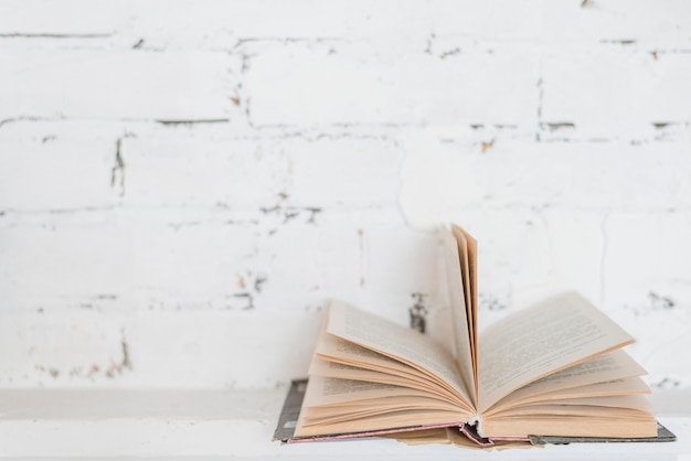 Free photo turning the pages of book against white brick wall