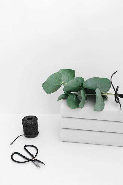 Free Photo twig on book stacked with black spool and scissor isolated on white backdrop