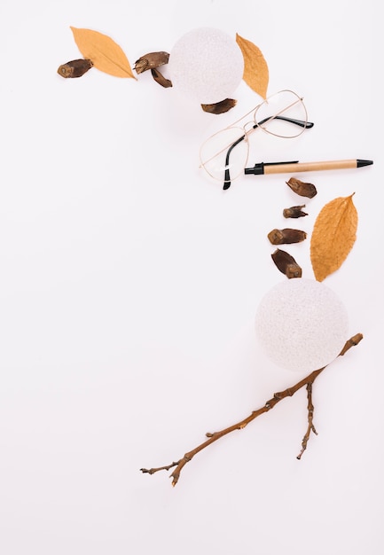 Free Photo twig near foliage and eyeglasses 