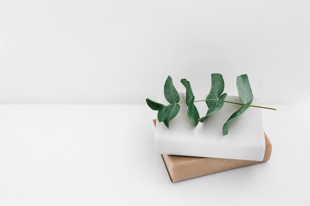 Free photo twig on two books against white background