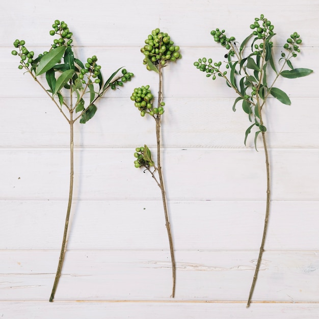 Free photo twigs on wooden tabletop