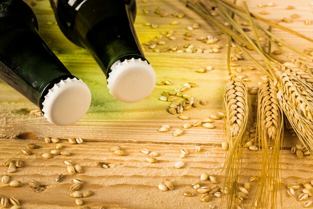 Two beer bottles and ears of wheat on wooden backdrop