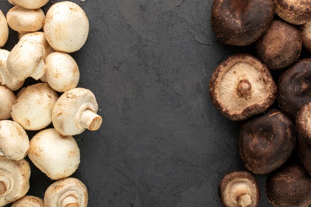 Two-colored mushrooms ripe fresh white and dark mushrooms isolated on grey floor