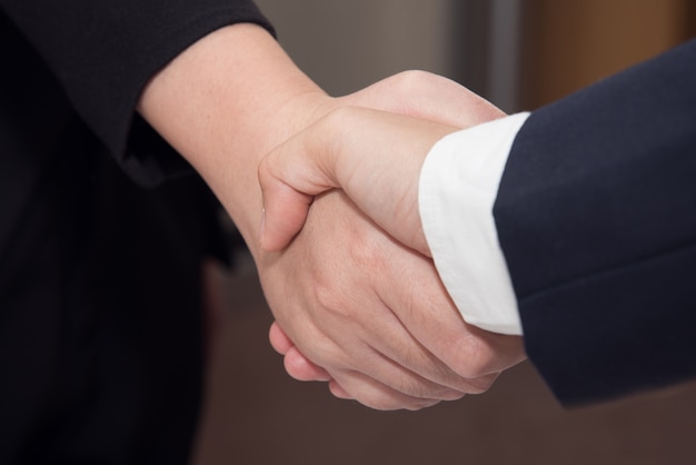 Free photo two confident businessman and businesswoman shaking hands