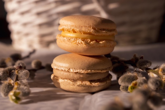 Free photo two creamy beige macarons on a flat white and gray ground near some spring plants