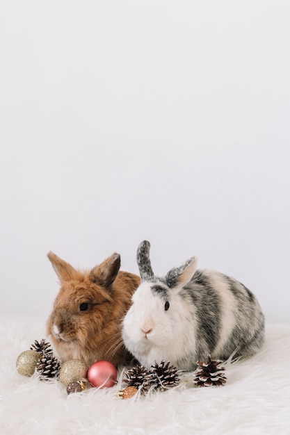 Two cute rabbits with Christmas decoration