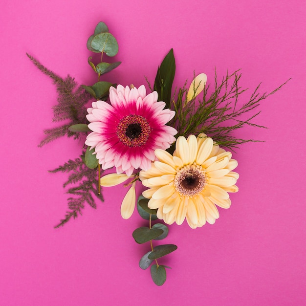 Free photo two gerbera flowers with branches on table