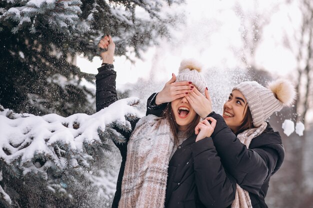 Two girls twins together in winter park