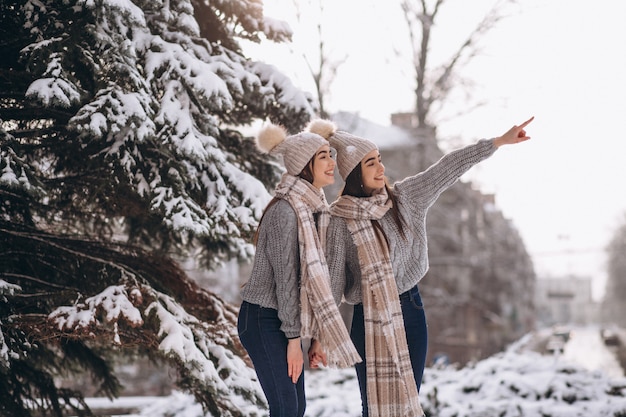 Free photo two girls twins together in winter park