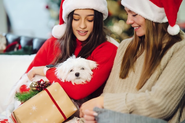 Two girls with a small dog are sitting on the couch on New Year's Eve. Friends together.