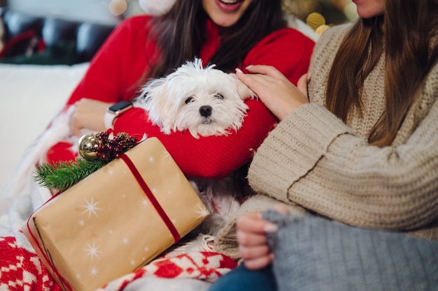 Two girls with a small dog are sitting on the couch on New Year's Eve