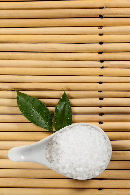 Two green leaves and sea salt in spoon