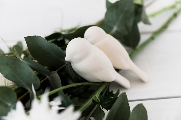 Two love birds on leaves against white background