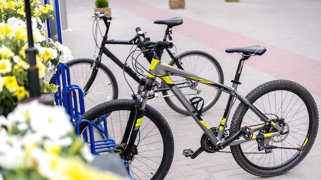 Free photo two parked bicycles on a street near a road, flowers