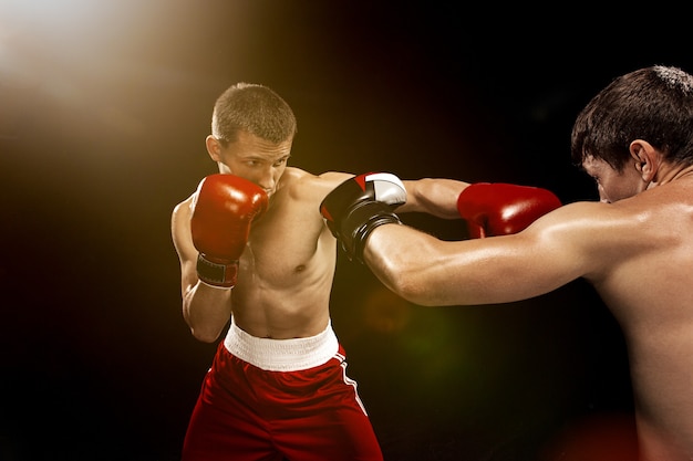 Free Photo two professional boxer boxing on black wall