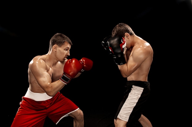 Free photo two professional boxer boxing on black