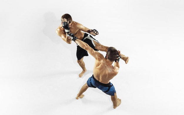 Free photo two professional mma fighters boxing isolated on white studio.