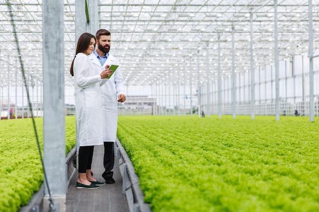 Two researches man and woman examine greenery with a tablet in an all white greenhouse