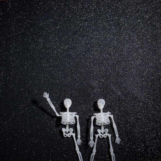 Free photo two skeletons greeting