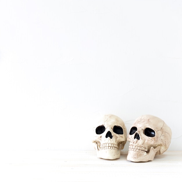 Free Photo two skulls for halloween celebration