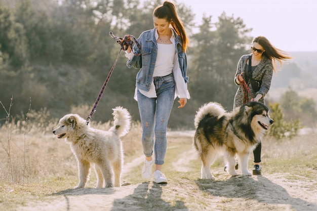 Two stylish girls in a sunny field with dogs