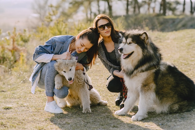 Two stylish girls in a sunny field with dogs