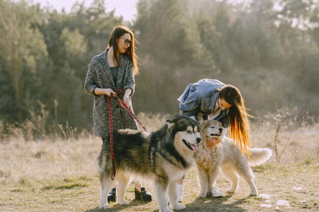 Two stylish girls in a sunny field with dogs