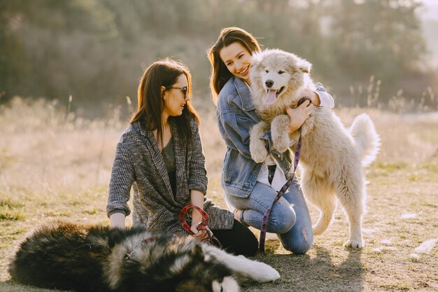 Two stylish girls in a sunny field with dogs