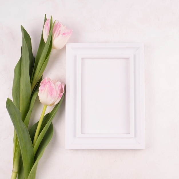 Free photo two tulip flowers with blank frame on table