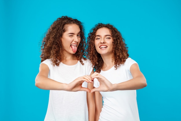 Free Photo two womans twins showing heart with hands over blue.