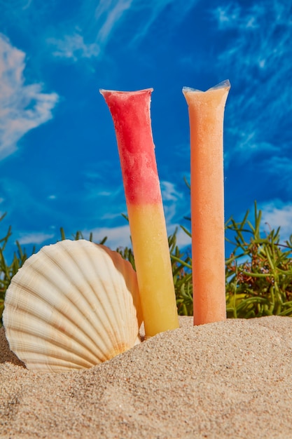 Free Photo typical brazilian freezies still life