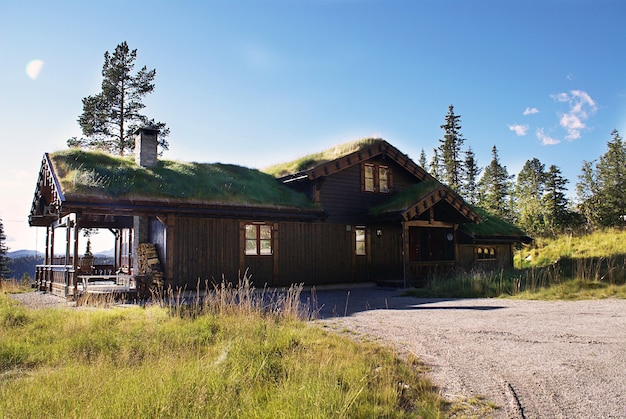 Free photo typical norwegian rural cottage with breathtaking landscape and beautiful greenery in norway