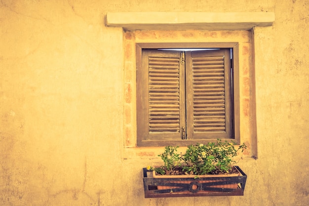 Free photo typical old italian architecture narrow