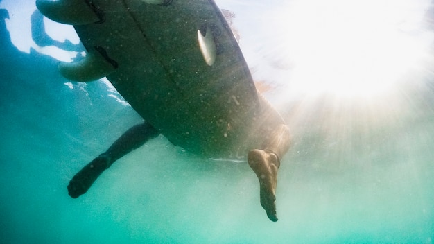 Free Photo underwater shot of woman with surfboard