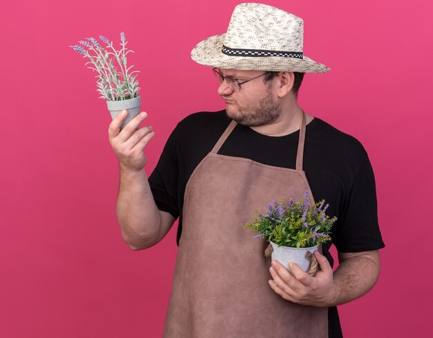 Unpleased young male gardener wearing gardening hat holding and looking at flowers in flowerpots isolated on pink wall