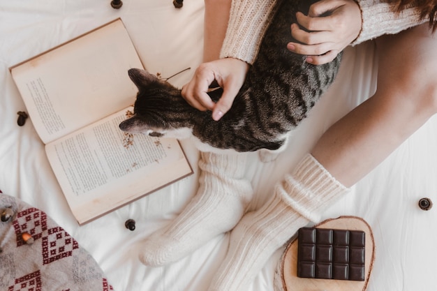 Unrecognizable lady stroking cat near book and chocolate