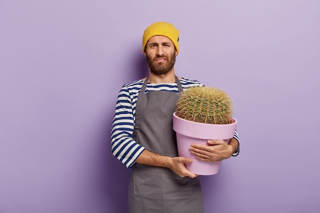 Upset man feels tired of planting home plants, carries flower pot with big cactus, works in florist shop, wears yellow hat, apron