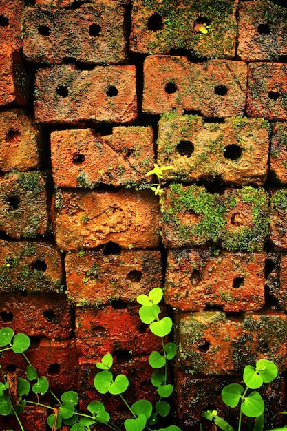 Free photo urban green rusty stone grunge