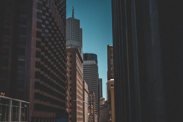 Free Photo urban shot of skyscrapers and a blue sky in the background