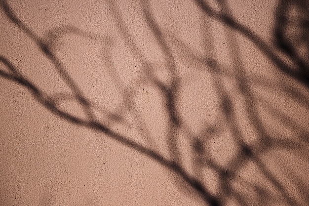 Free Photo urban wall surface with tree shadow