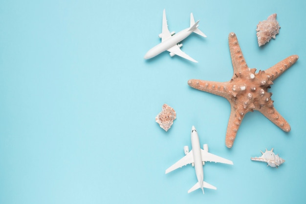 Free photo vacation concept with planes and starfish